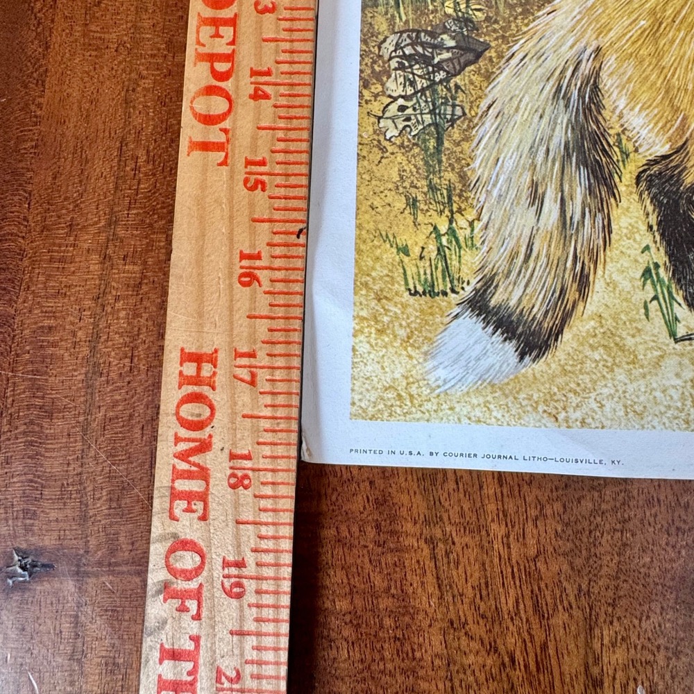 Vintage 1969 Gene Gray The American Red Fox Signed Lithograph Print 18x22 - Picture 9 of 9